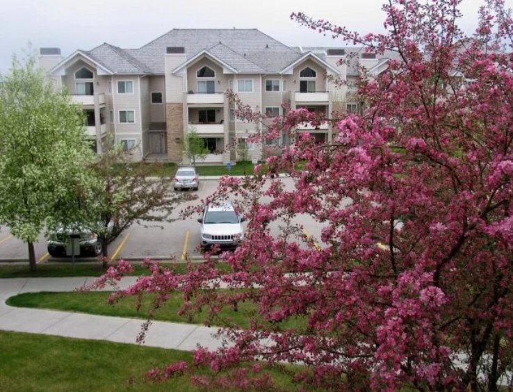 Mountain View Terraces exterior detail